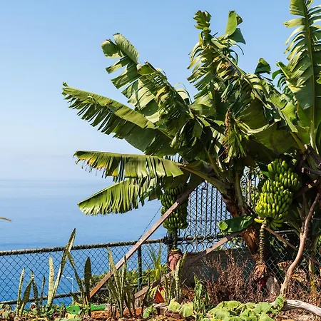 Сasa de vacaciones Mouras House, Arco da Calheta (Madeira)
