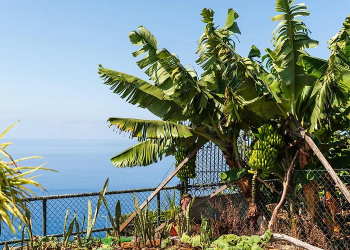 Casa vacanze Mouras House, Arco da Calheta (Madeira)